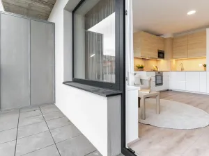 Pronájem bytu 2+kk, Brno - Zábrdovice, Spolková, 38 m2