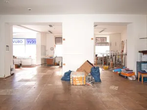 Pronájem obchodního prostoru, Dobřany, Lidická, 120 m2