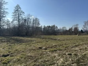 Prodej pozemku pro bydlení, Třinec, 1224 m2