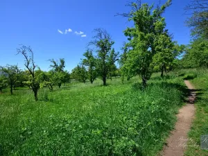 Prodej bytu 2+1, Chlumec, Stradovská, 64 m2