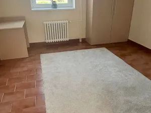 Pronájem bytu 1+1, Praha - Braník, Branická, 28 m2