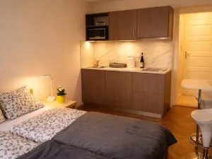 Pronájem bytu 1+kk, Praha - Žižkov, Fibichova, 25 m2