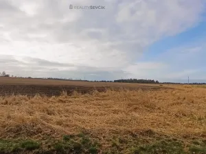 Prodej pozemku pro bydlení, Příbraz, 2100 m2
