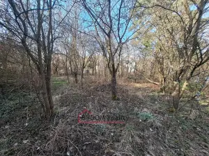 Prodej zahrady, Nové Mitrovice, 1216 m2