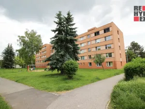 Pronájem bytu 2+1, Stráž pod Ralskem, Mírová, 48 m2