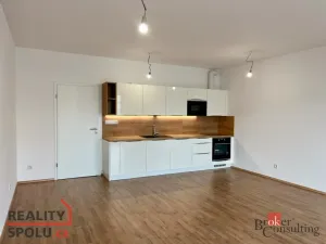 Pronájem bytu 2+kk, Plzeň - Jižní Předměstí, Měděná, 80 m2