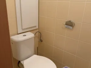 Pronájem bytu 2+kk, Rybnice, 46 m2