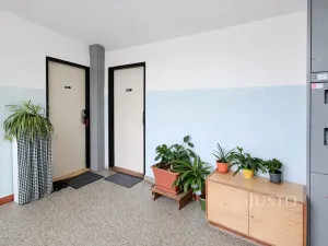 Prodej bytu 1+1, Písek - Budějovické Předměstí, třída Přátelství, 38 m2