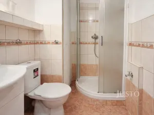 Prodej bytu 1+1, Písek - Budějovické Předměstí, třída Přátelství, 38 m2