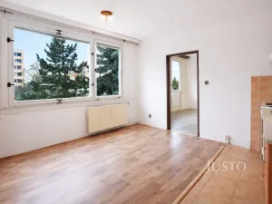 Prodej bytu 1+1, Písek - Budějovické Předměstí, třída Přátelství, 38 m2