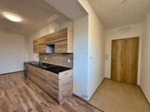 Pronájem bytu 2+1, Olomouc - Hodolany, Geislerova, 75 m2