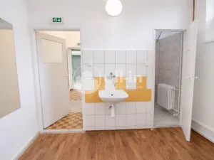 Prodej činžovního domu, Vyškov - Brňany, Palánek, 780 m2