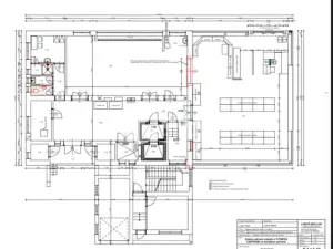 Prodej činžovního domu, Vyškov - Brňany, Palánek, 780 m2