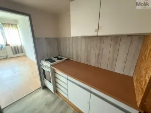 Prodej bytu 1+1, Litvínov - Horní Litvínov, Koldům, 27 m2