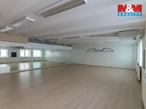 Prodej obchodního prostoru, Prostějov, Šafaříkova, 305 m2