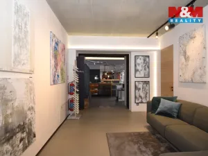 Pronájem kanceláře, Ostrava, Brandlova, 234 m2