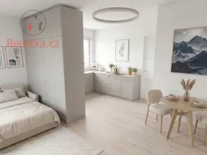 Prodej bytu 1+kk, Mělník, Vlasákova, 44 m2