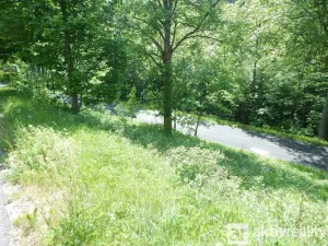 Prodej zahrady, Vejprty, Ovocná, 876 m2
