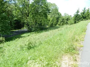 Prodej zahrady, Vejprty, Ovocná, 876 m2