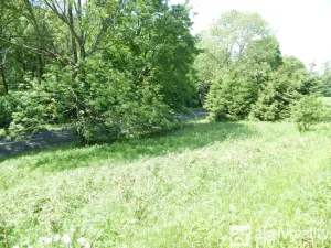 Prodej zahrady, Vejprty, Ovocná, 876 m2