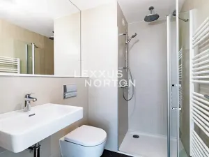 Pronájem rodinného domu, Praha - Dejvice, V Šáreckém údolí, 190 m2