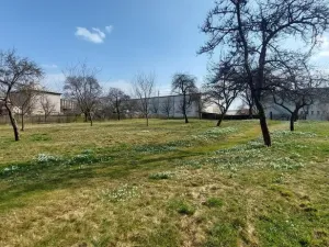 Prodej pozemku pro bydlení, Lešná - Perná, 1563 m2