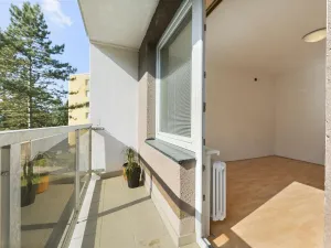 Prodej bytu 2+1, Blansko, Salmova, 56 m2