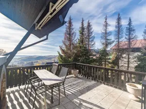 Prodej rodinného domu, Strážné, 350 m2