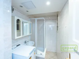 Prodej bytu 1+1, Praha - Nusle, V Horkách, 44 m2