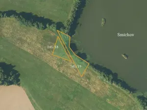 Prodej podílu pole, Borovná, 60983 m2