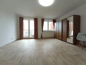Pronájem bytu 1+kk, Plzeň - Jižní Předměstí, Rybářská, 49 m2