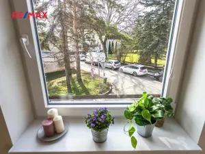 Pronájem bytu 2+kk, Dobříč, 80 m2