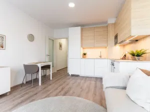 Prodej bytu 1+kk, Brno - Zábrdovice, Spolková, 27 m2