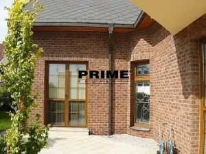 Pronájem rodinného domu, Praha - Nebušice, Druhého odboje, 390 m2