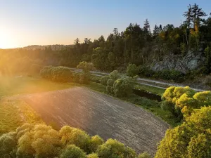 Prodej pozemku, Vlastějovice, 709 m2
