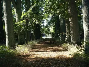 Dražba chalupy, Studenec, 3331 m2