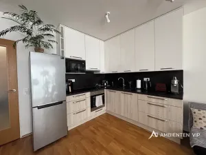 Pronájem bytu 1+kk, Brno, Božetěchova, 52 m2