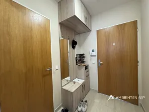 Pronájem bytu 1+kk, Brno, Božetěchova, 52 m2