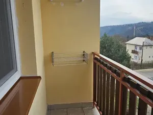 Pronájem bytu 2+1, Letovice, J. Haška, 74 m2