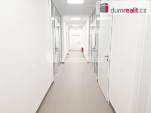 Pronájem komerční nemovitosti, Most, J. A. Komenského, 40 m2