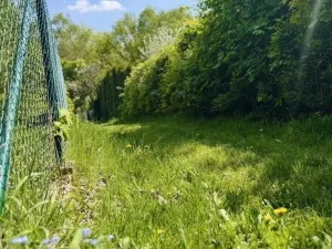 Prodej zahrady, Meziboří, 332 m2