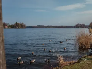 Prodej chaty, Chlum u Třeboně, 62 m2