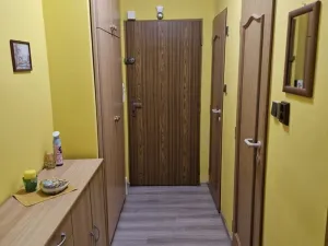 Prodej bytu 2+1, Teplice, Libušina, 54 m2