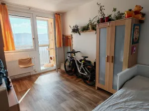 Prodej bytu 1+1, Liberec, Dobiášova, 34 m2