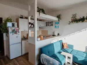 Prodej bytu 1+1, Liberec, Dobiášova, 34 m2