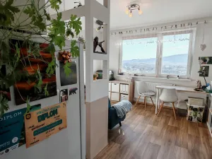 Prodej bytu 1+1, Liberec, Dobiášova, 40 m2