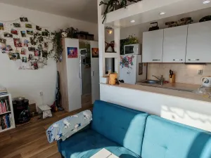 Prodej bytu 1+1, Liberec, Dobiášova, 40 m2