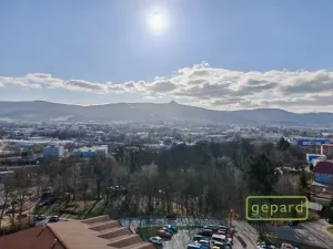 Prodej bytu 1+1, Liberec, Dobiášova, 40 m2