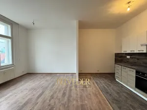 Pronájem bytu 4+kk, Teplice, Krupská, 110 m2