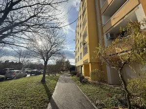 Pronájem bytu 1+1, Brno, Fleischnerova, 41 m2